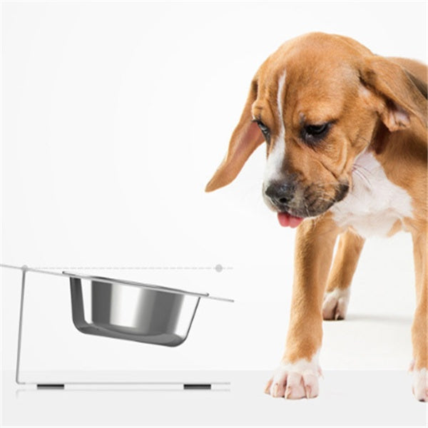 The Ultimate Solution for Mess-Free Pet Feeding