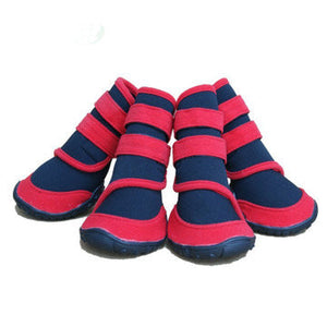 Why Your Pet Deserves Waterproof Shoes