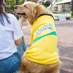 Keep Your Furry Friends Cozy This Season