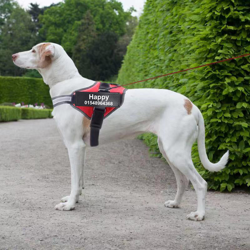 Personalized Custom Reflective Dog Harness: Safety and Comfort for Your Furry Friend