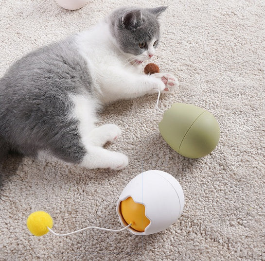 Discover the Joy of Play with Funny Cat Artifact Cat Toys