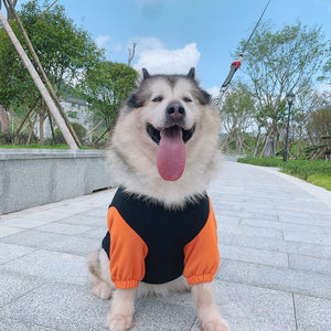Elevate Your Pet's Style with Our Parent-Child Sweater Clothes