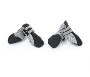 Enhance Your Dog Walking Experience with Our Dog Walking Shoes