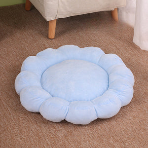 Discover the Comfort of the 50x50cm Multi Color Petal Cat Nest