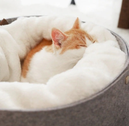 The Perfect Pet Bed for Your Furry Friends