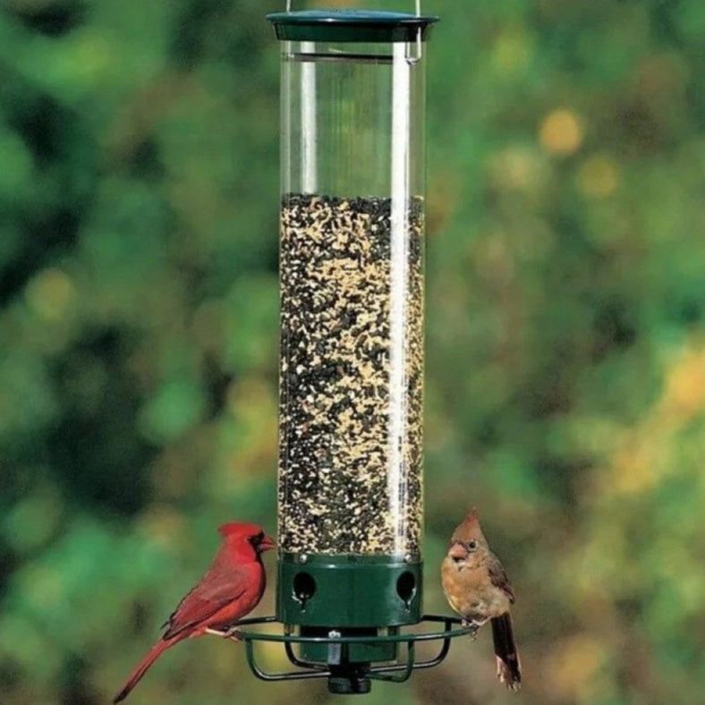 Elevate Your Garden with the Metal Hanging Hummingbird Feeder Bird Cage