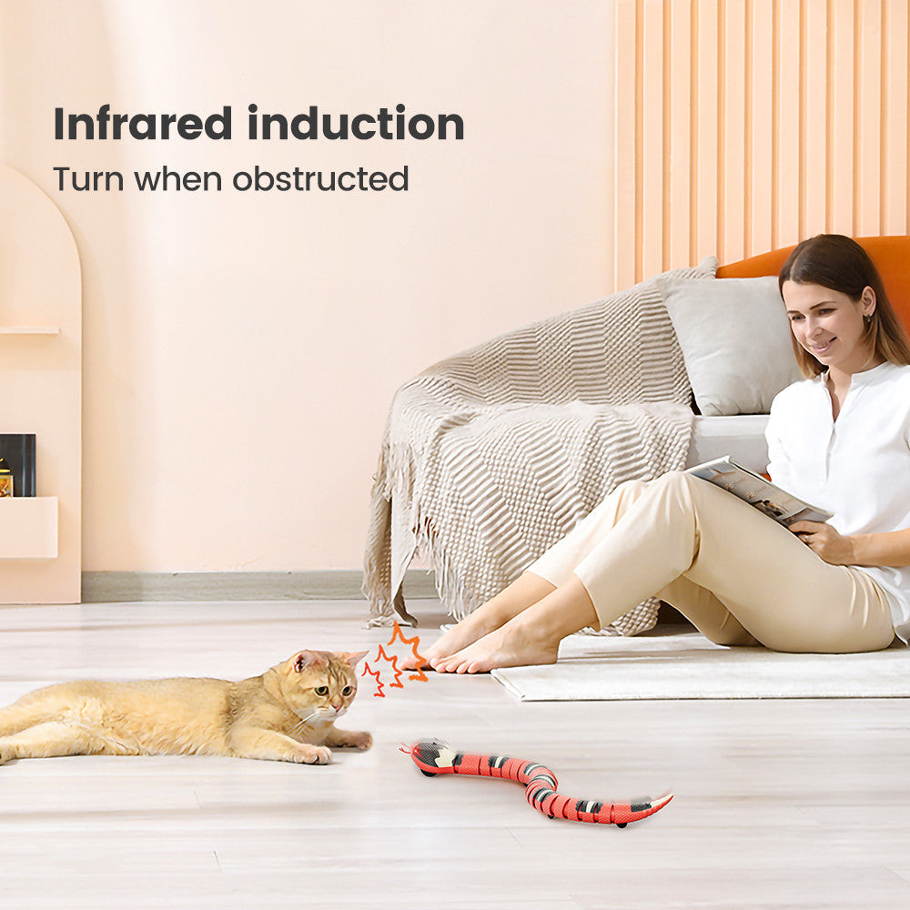 Why Your Pet Needs Electric Induction Snake Toys
