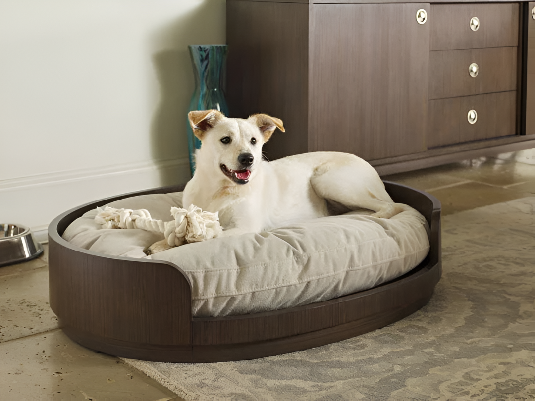 Comfort Essentials for Every Beloved Pet