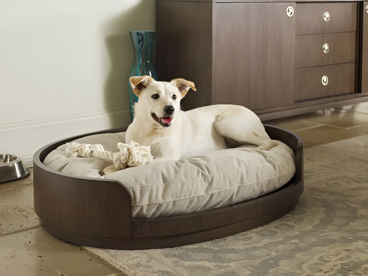 Comfort Essentials for Every Beloved Pet