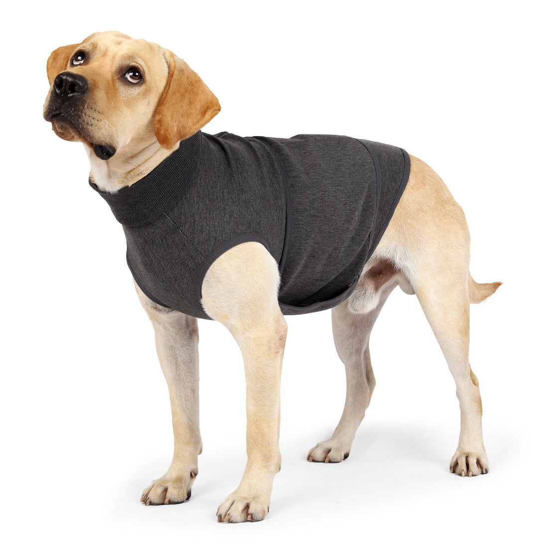 Pet Polyester Emotional Cotton Jacket