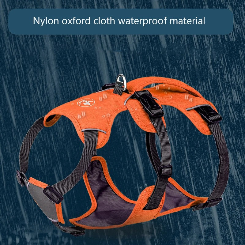 Anti Breaking Loose Dog Hand Holding Rope