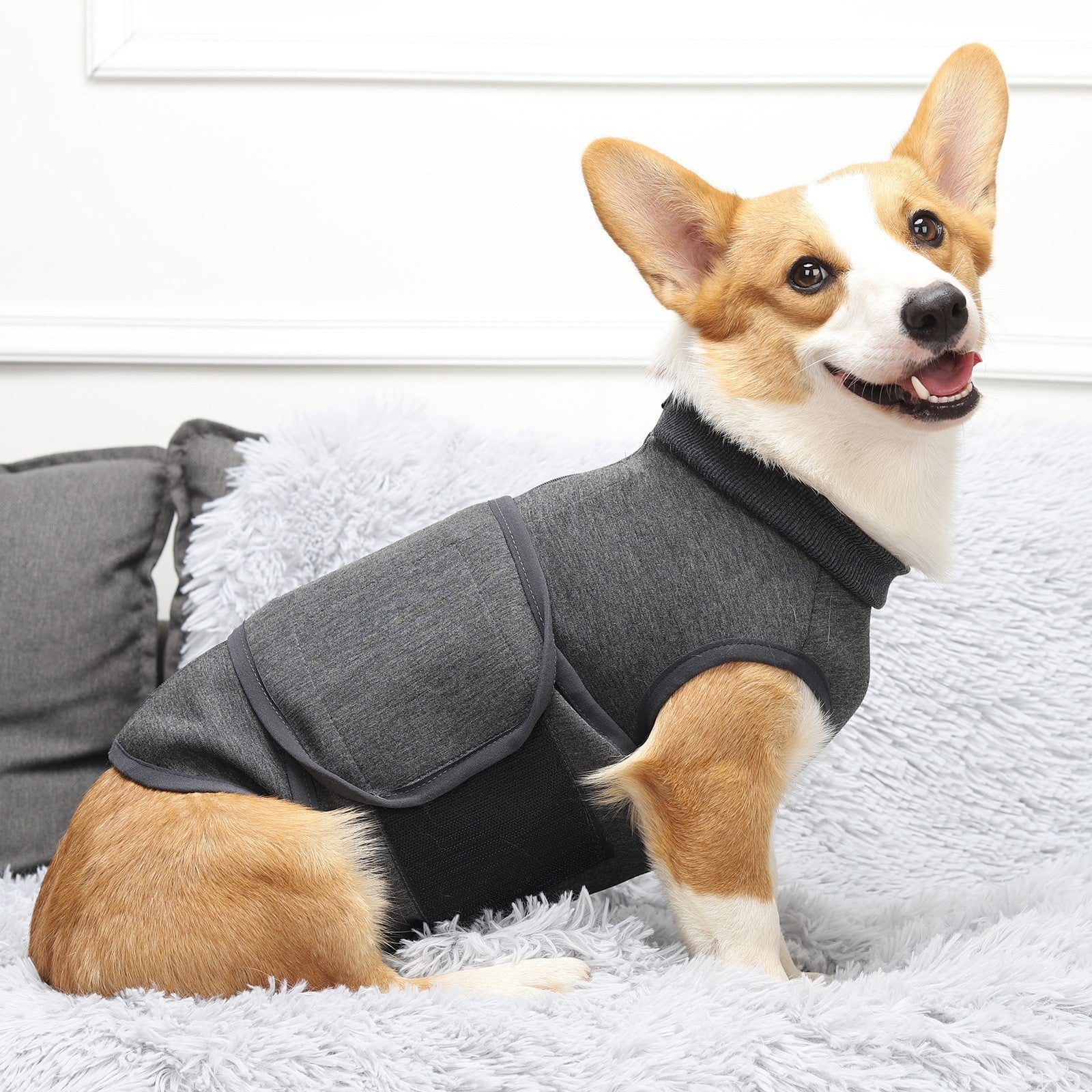 Pet Polyester Emotional Cotton Jacket