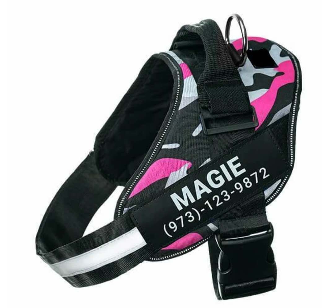 Personalized Custom Reflective Dog Harness