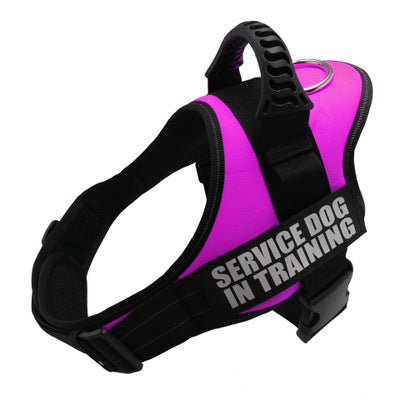 Personalized Custom Reflective Dog Harness