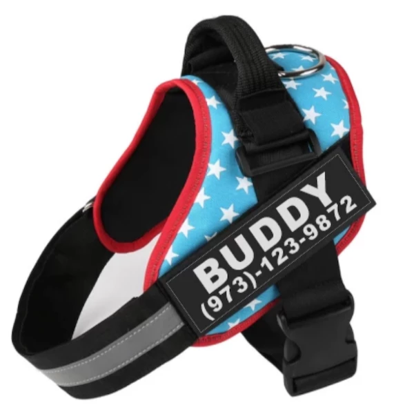 Personalized Custom Reflective Dog Harness