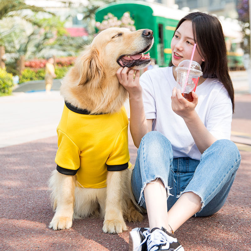 Medium And Large Dog Sweater
