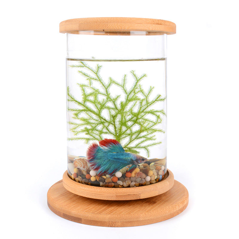 Bamboo Base Mini Fish Tank Decoration Fish Bowl