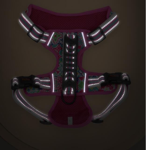 Large Dog Pet Leash Chest Harness