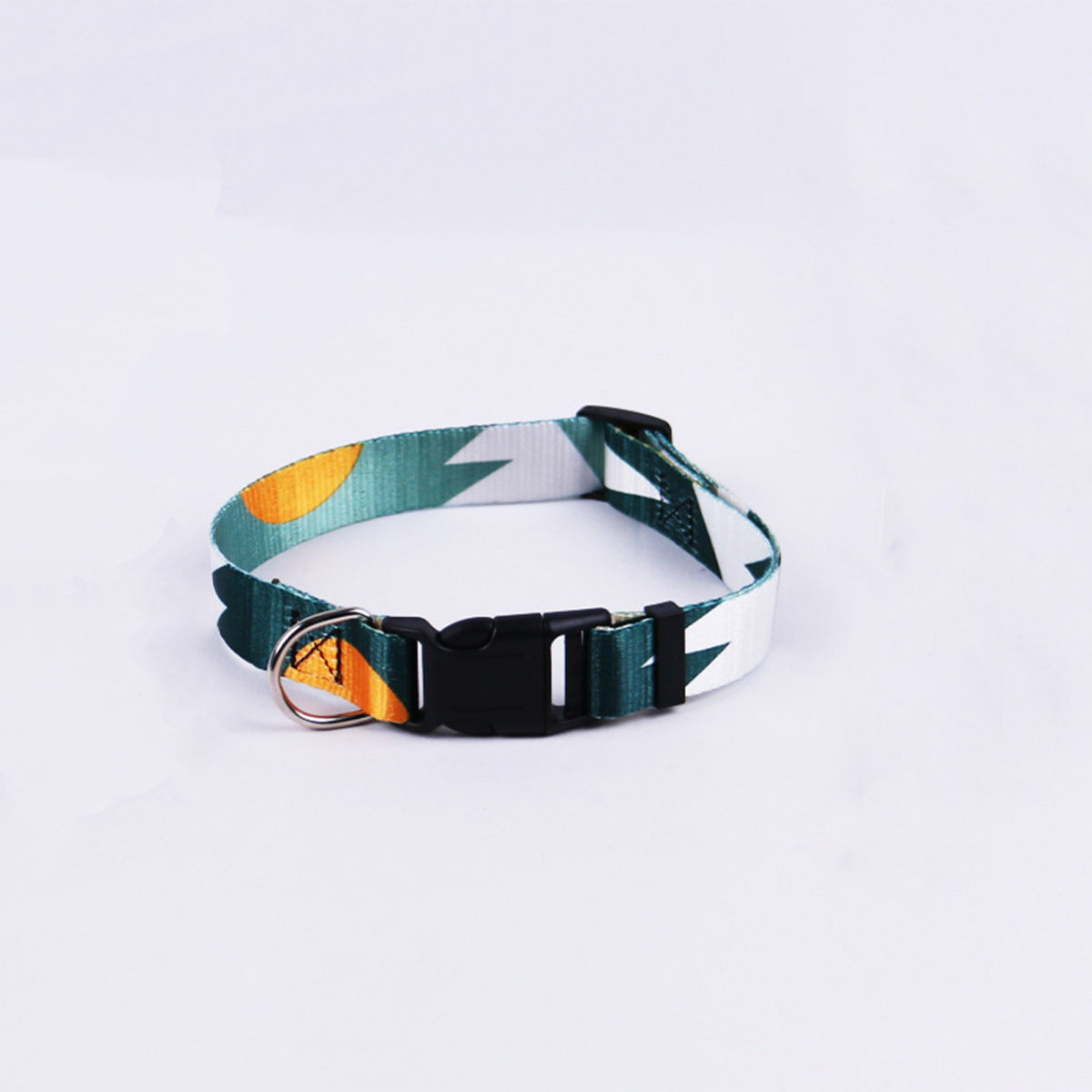 Hand Holding Rope Outing Dog Leash