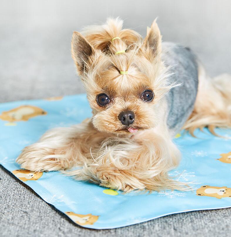Pet ice mat summer cooling cat mat