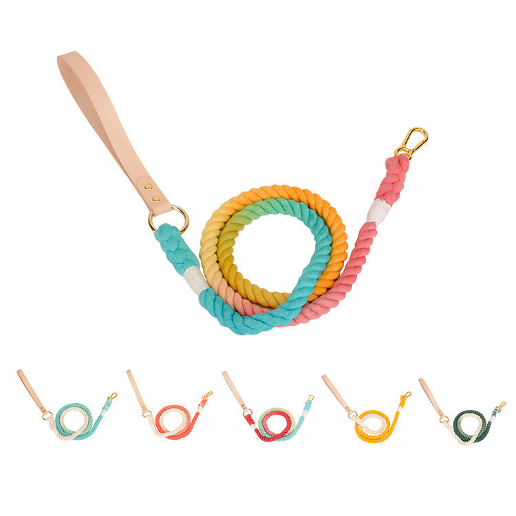 Color Pet Traction Gradient Rainbow