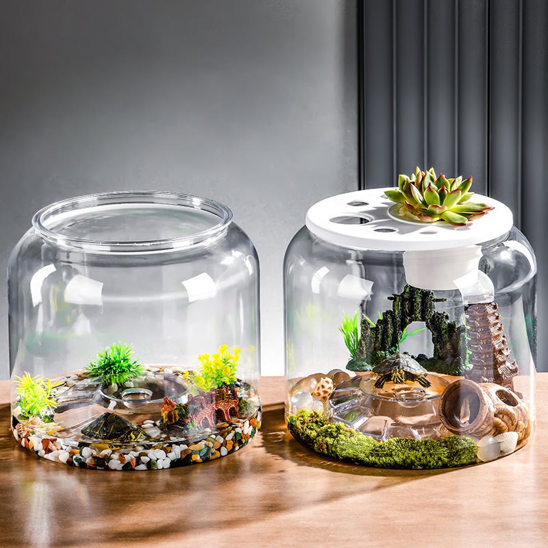 Desktop Landscaping Feeding Fish Tank