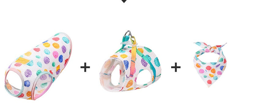 Medium Sized Dog On A Chested Leash