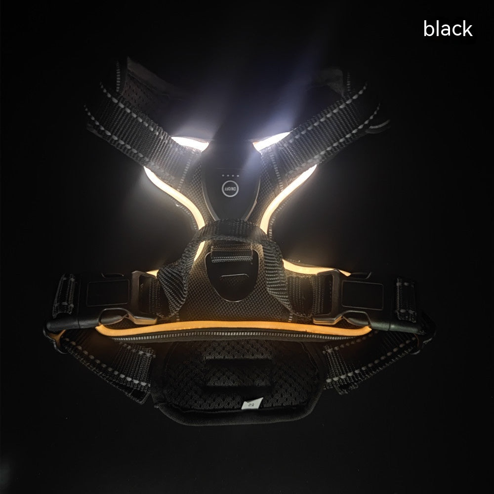 Accident Prevention Adjustable Flash Dogs