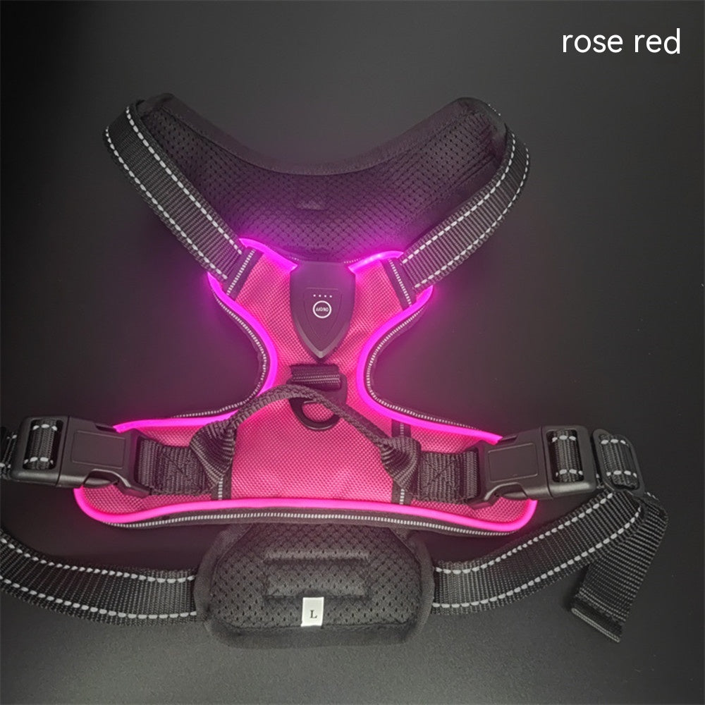 Accident Prevention Adjustable Flash Dogs