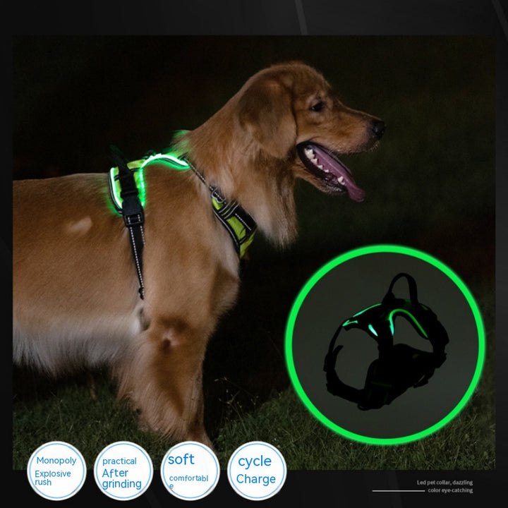 Accident Prevention Adjustable Flash Dogs