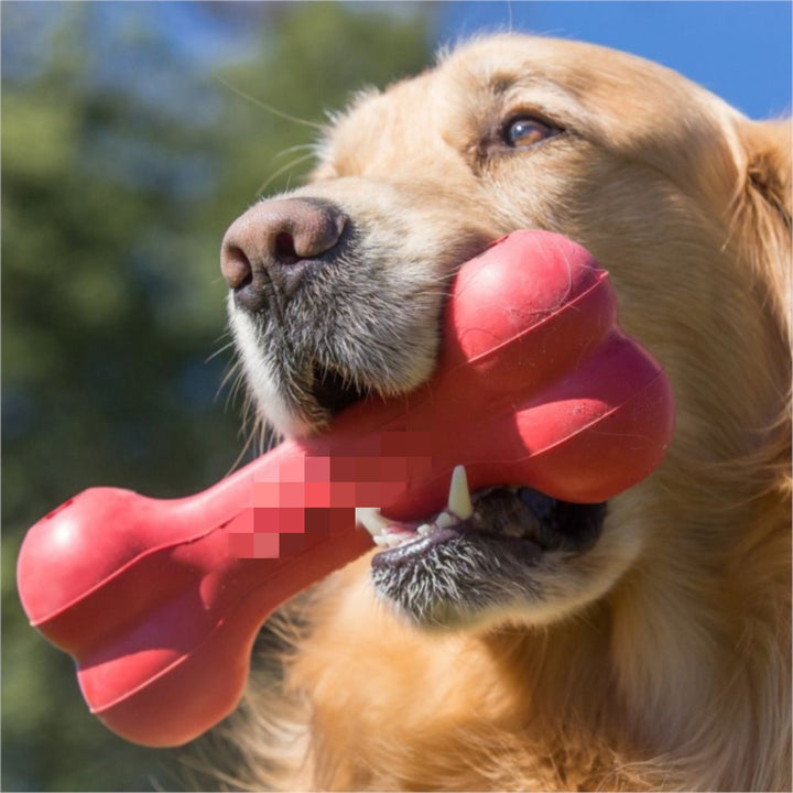 Dog Toys Bite Resistant Rubber Teeth