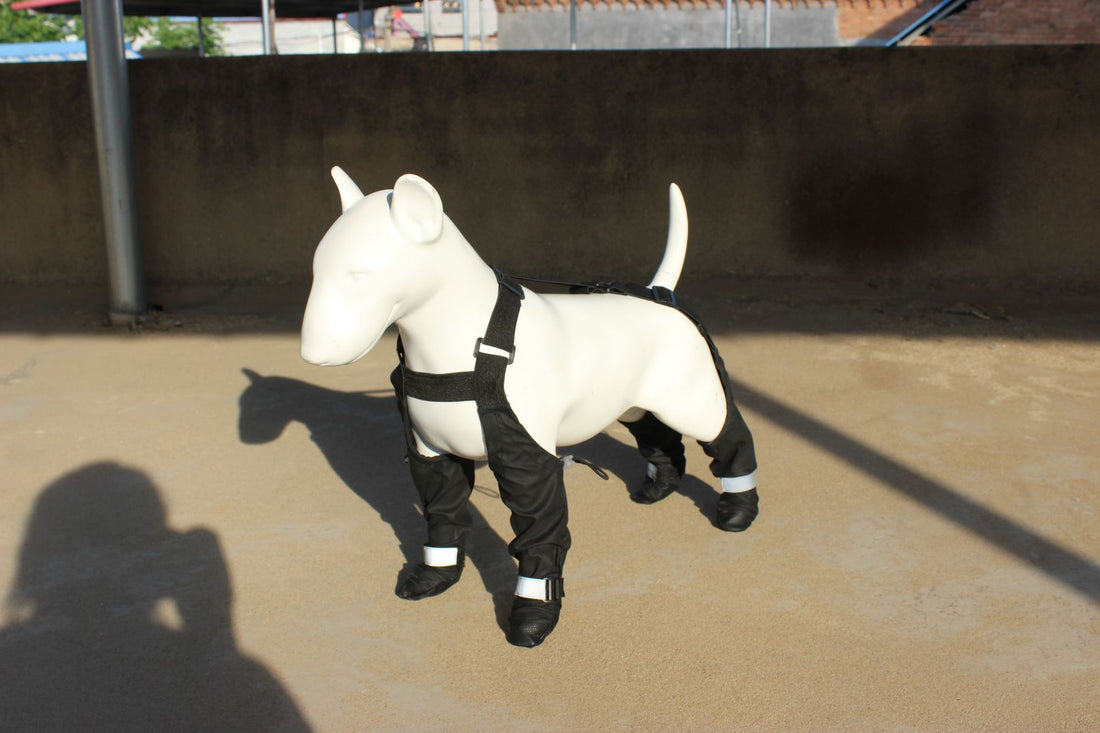 Pet Shoes Waterproof Non-slip
