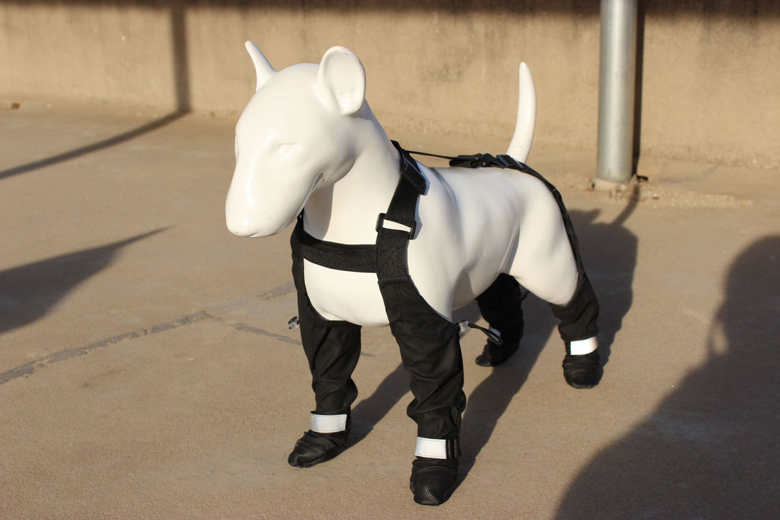 Pet Shoes Waterproof Non-slip