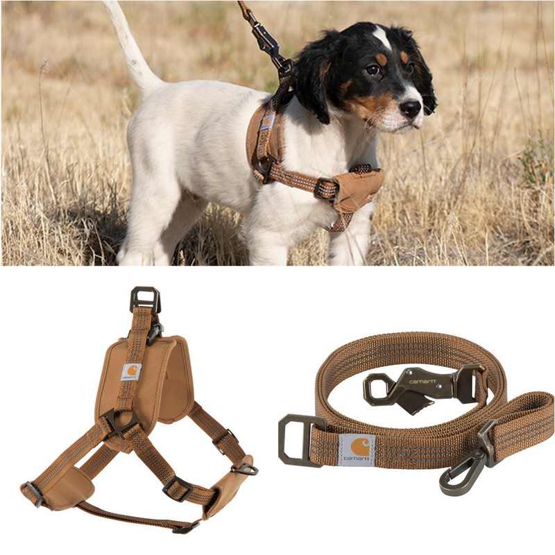 Dog Safety Training Belt Hand Holding Rope