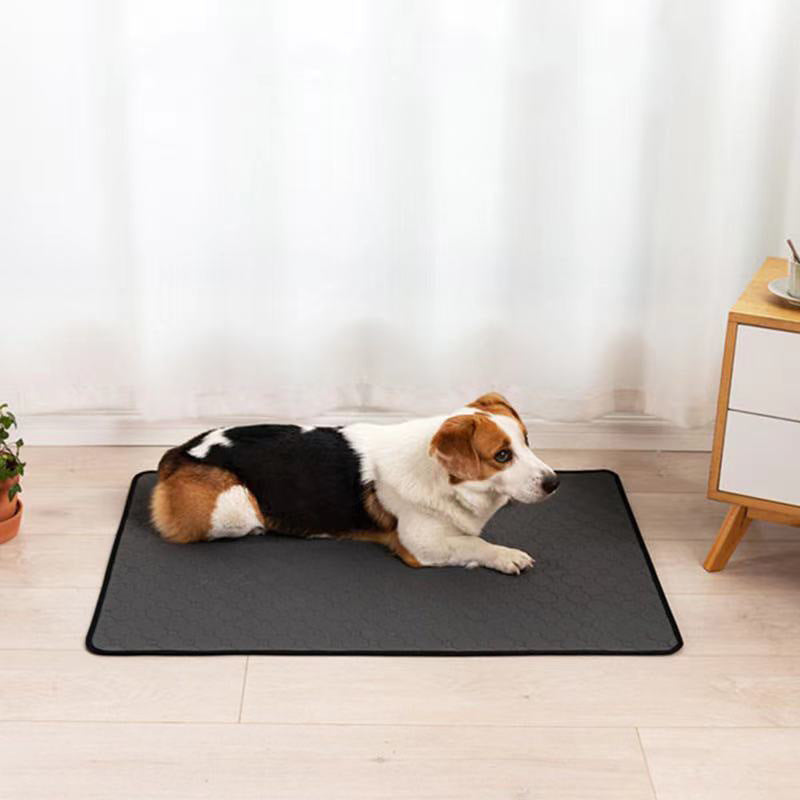 Water-absorbing Dog Diaper Changing Mat