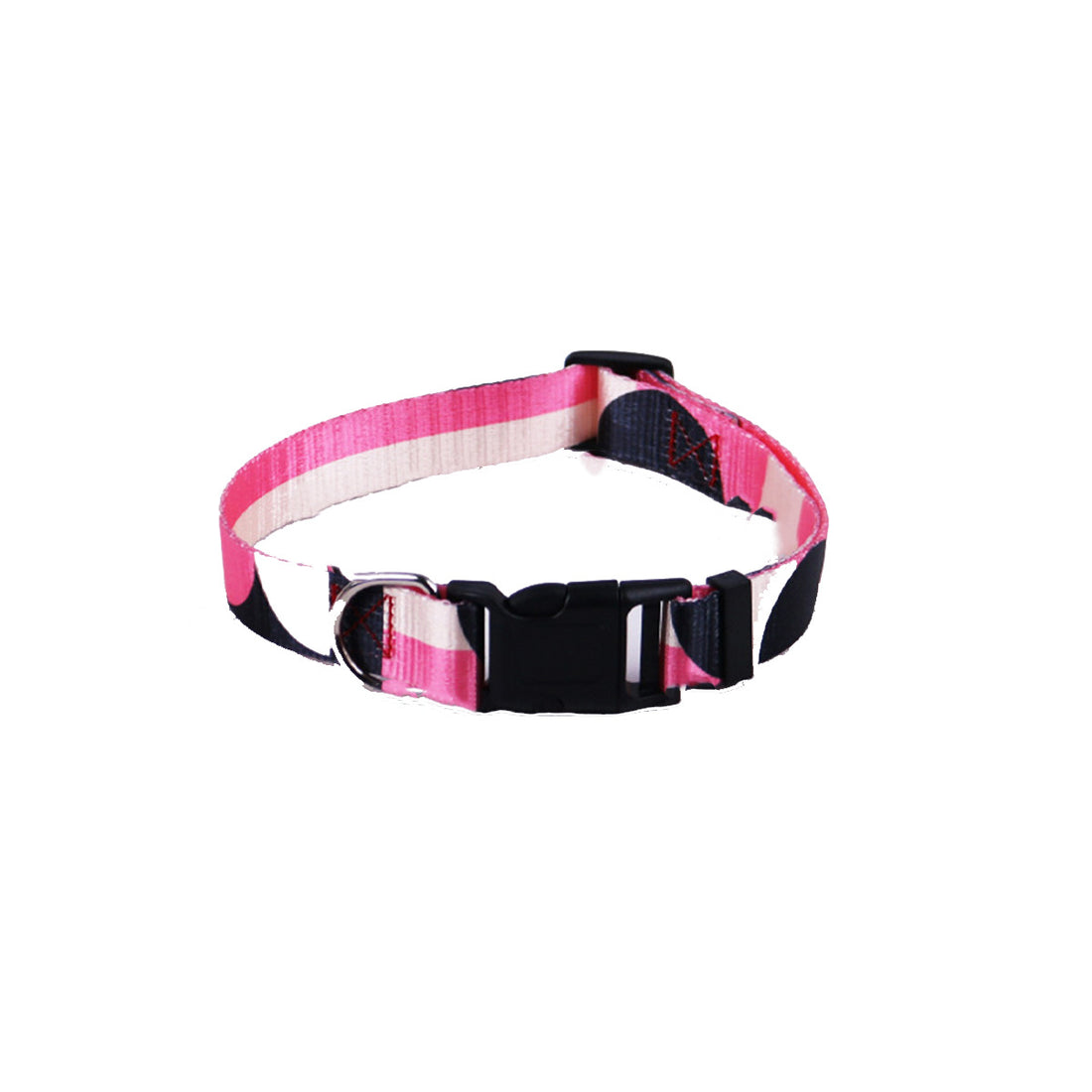 Hand Holding Rope Outing Dog Leash