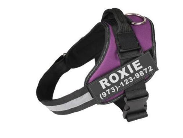 Personalized Custom Reflective Dog Harness