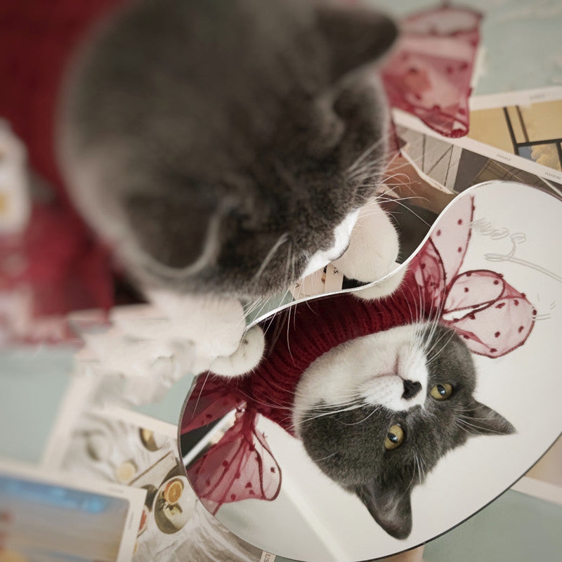 Pet Super Cute Sweater Warm