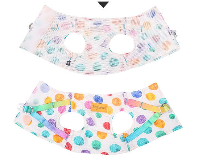 Medium Sized Dog On A Chested Leash