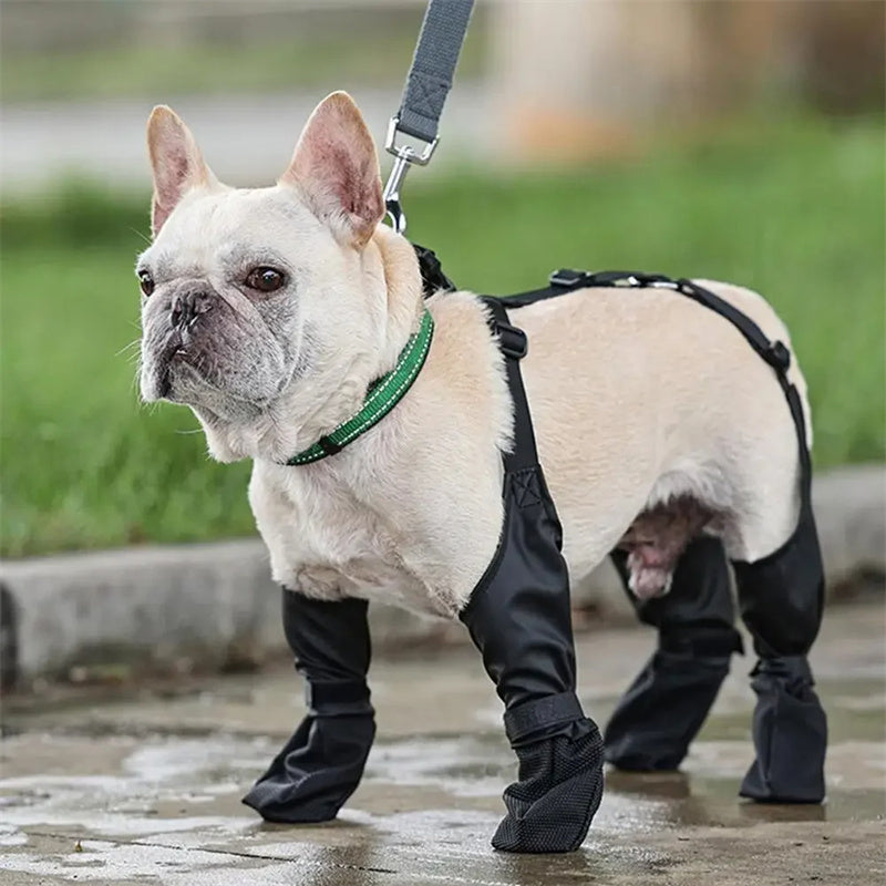 Waterproof Dog Shoes Adjustable Dog