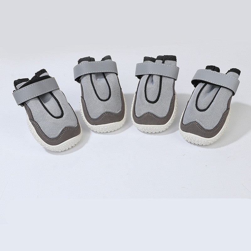 Wear-resistant And Breathable Big Dog