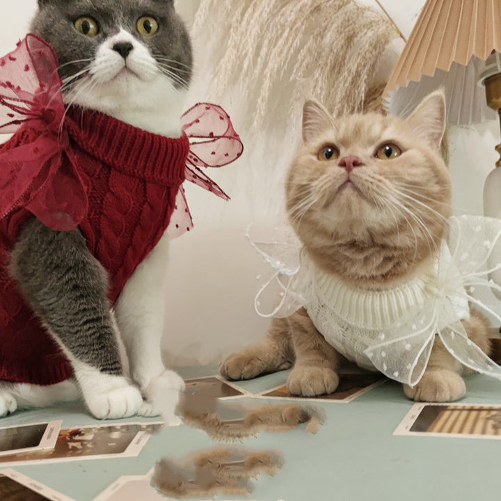 Pet Super Cute Sweater Warm