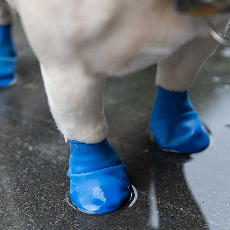 Summer Dog Balloon Foot Cover Rain Boots