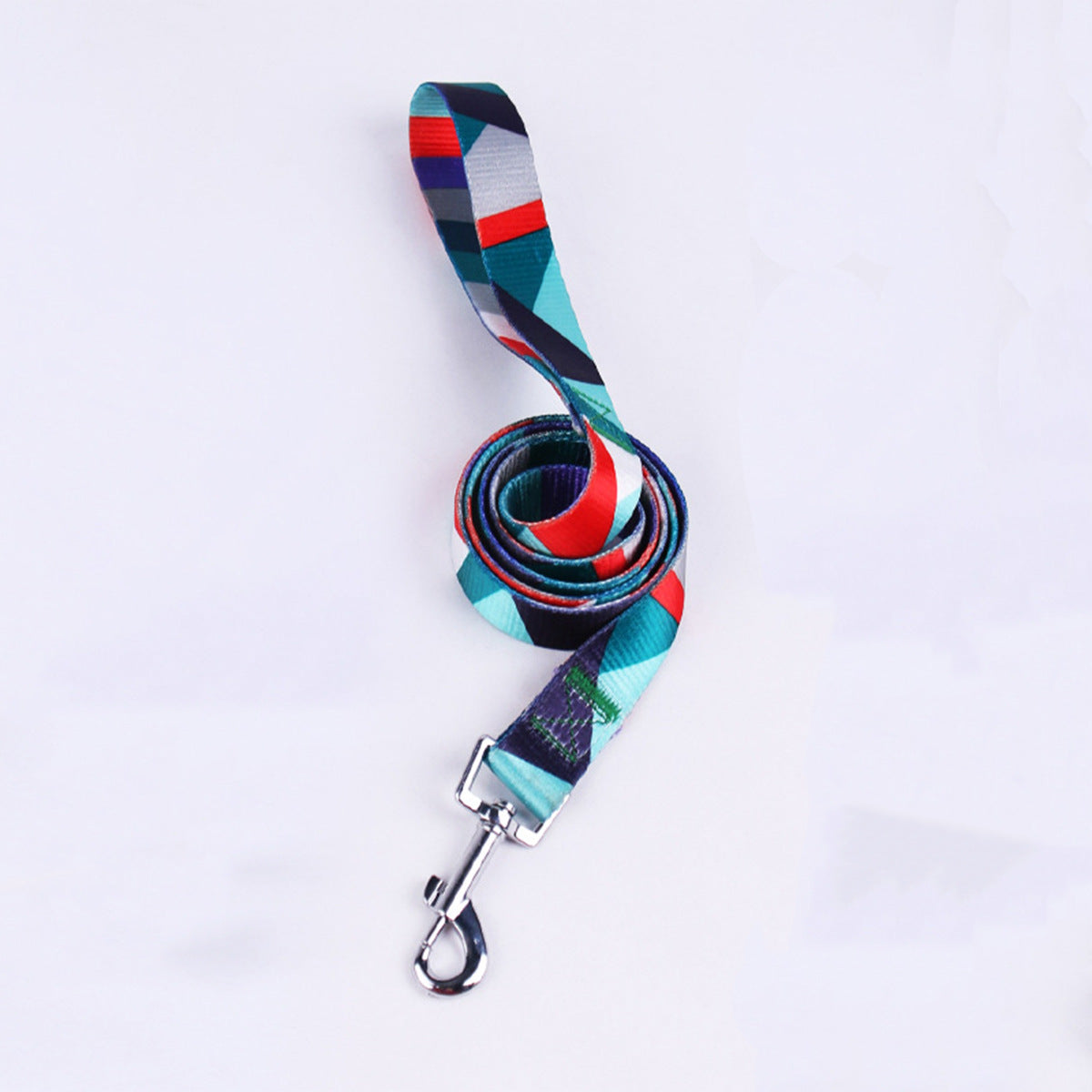 Hand Holding Rope Outing Dog Leash