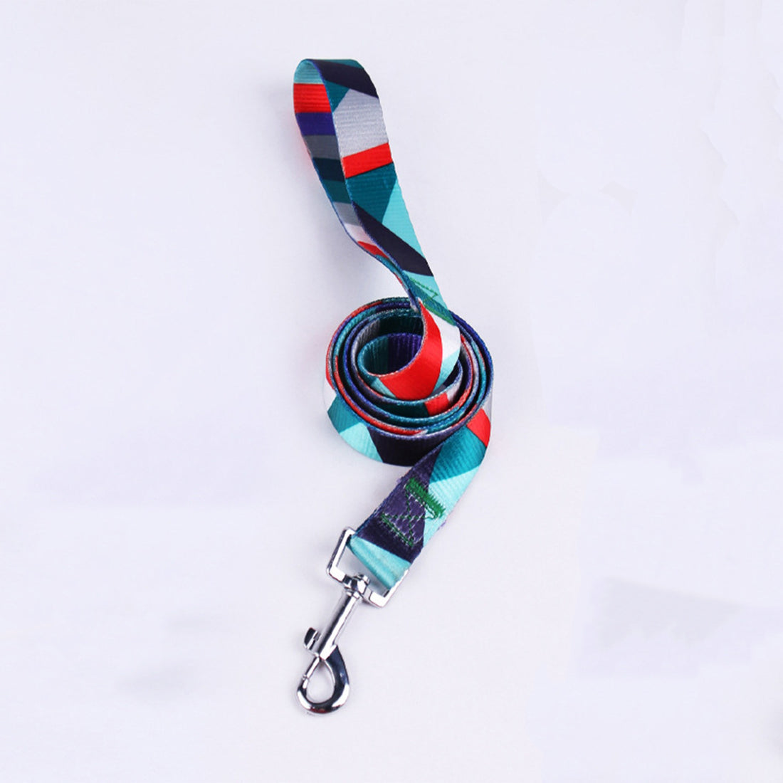 Hand Holding Rope Outing Dog Leash
