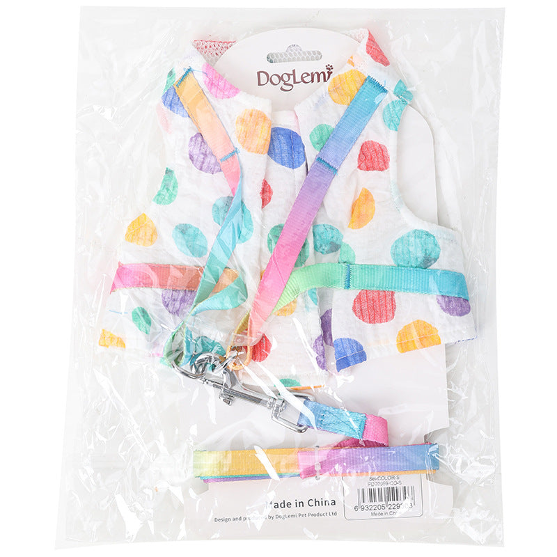 Medium Sized Dog On A Chested Leash