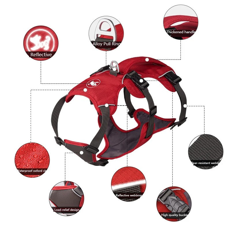 Anti Breaking Loose Dog Hand Holding Rope