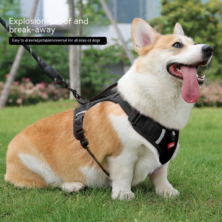 Pet Hand Holding Rope Vest-style