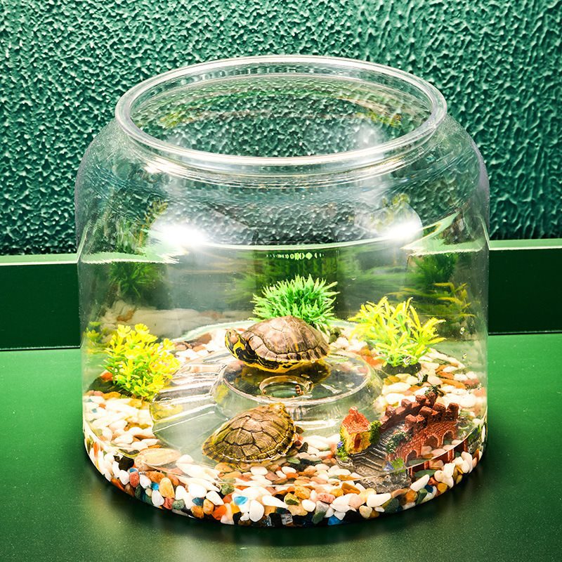 Desktop Landscaping Feeding Fish Tank