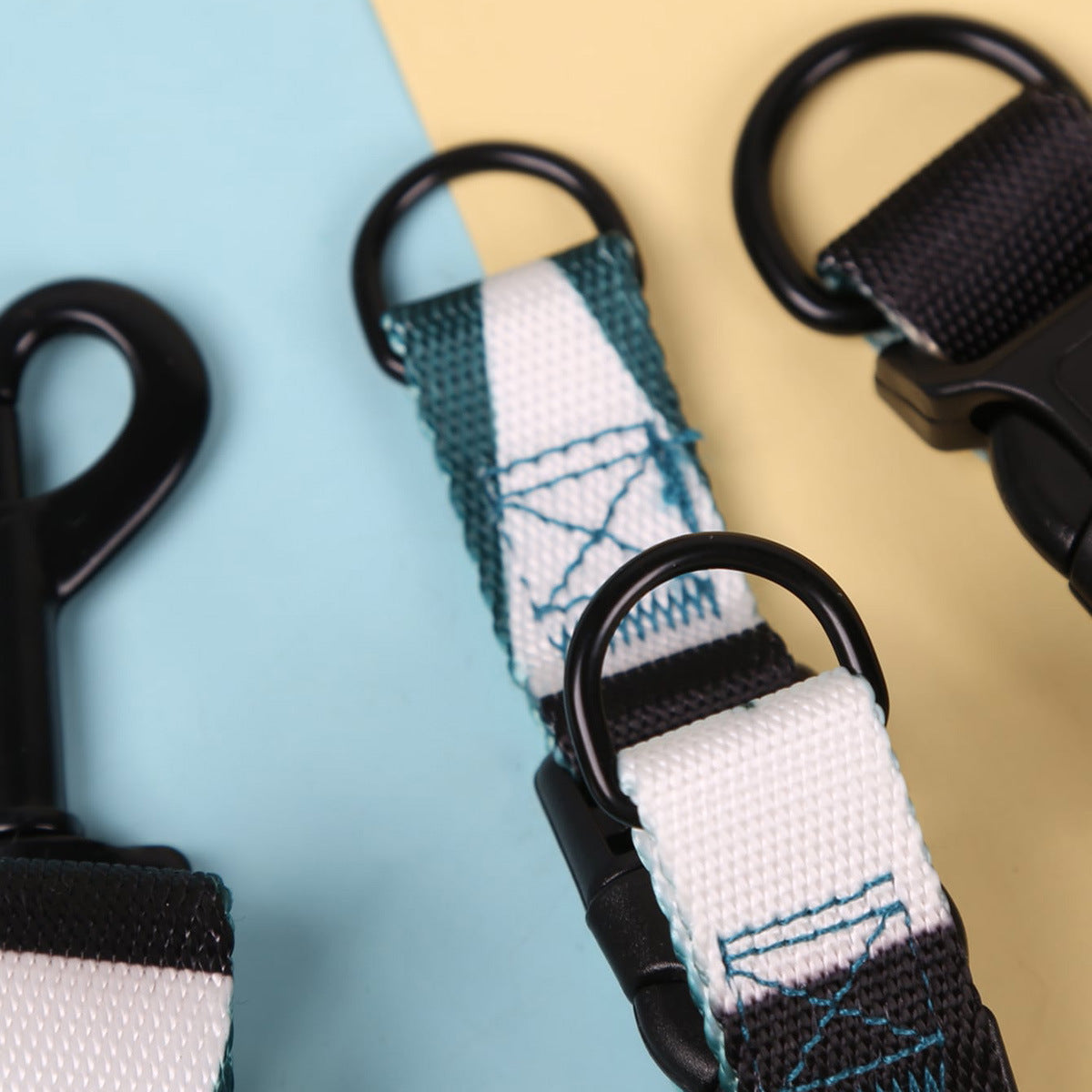 Hand Holding Rope Outing Dog Leash